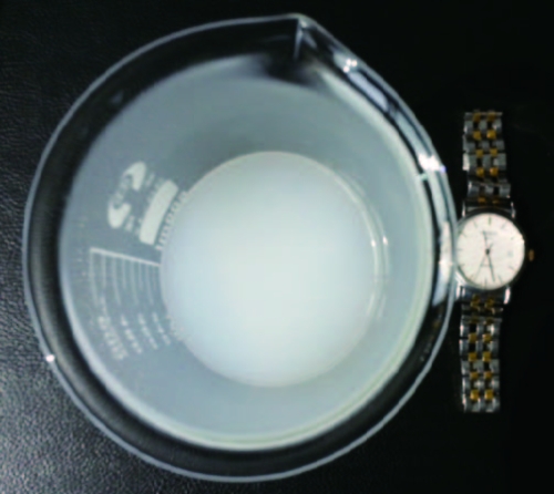 eSun PVA Natur 1.75 mm 0.5 kg